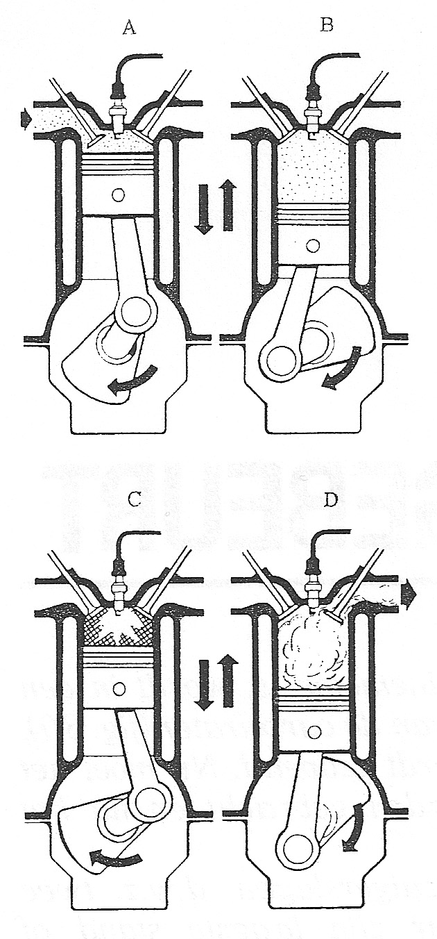 Fig. 31